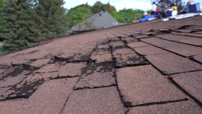 Best Rubber Roofing (EPDM, TPO)  in Neodesha, KS