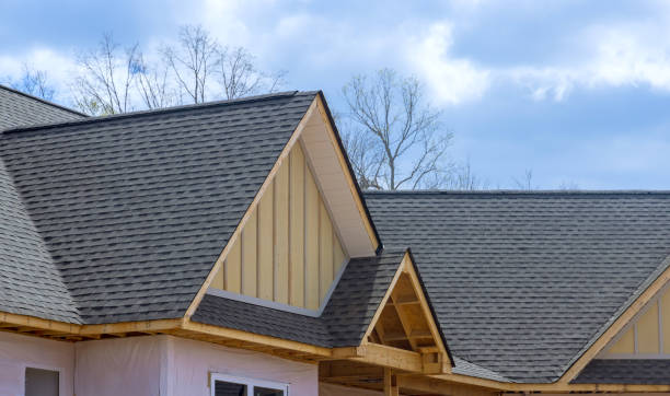Best Roof Insulation Installation  in Neodesha, KS